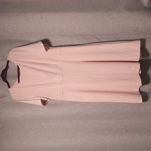 ANN TAYLOR Light Pink Dress